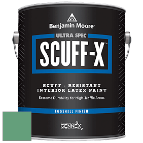 Benjamin Moore 485 Ultra Spec SCUFF-X Interior Eggshell Finish краска цвет 587 Scotch Plains Green