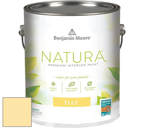 Benjamin Moore 512 Natura Interior Flat Finish матовая краска цвет 359 Lightning Storm