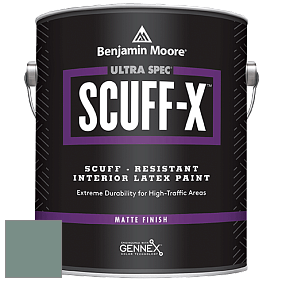 Benjamin Moore 484 Ultra Spec SCUFF-X Interior Matte Finish краска цвет AC-20 BM AC-20