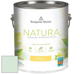 Benjamin Moore 512 Natura Interior Flat Finish матовая краска цвет 850 Reflection