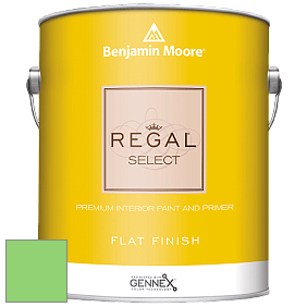 Benjamin Moore 547 Regal Select Waterborne Interior Flat Finish краска цвет NCS S 0560-G20Y 