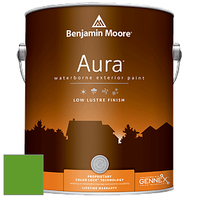 Benjamin Moore Aura 634 Waterborne Exterior Low Lustre Finish краска цвет 2030-10 Lizard Green