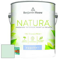 Benjamin Moore 513 Natura Interior Eggshell Finish краска с блеском цвет NCS S 0515-G 