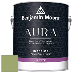 Benjamin Moore Aura 522 Interior Paint - Matte краска цвет 544 Kiwi