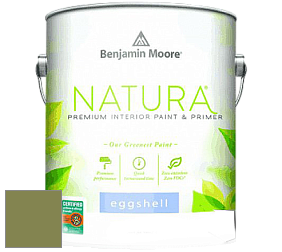 Benjamin Moore 513 Natura Interior Eggshell Finish краска с блеском цвет NCS S 4040-G50Y 