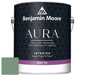 Benjamin Moore Aura 522 Interior Paint - Matte краска цвет 635 Parsley Snips