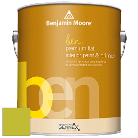 Benjamin Moore Ben W625 Premium Interior Latex Flat краска цвет NCS S 1070-G60Y 