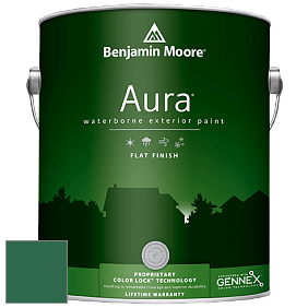 Benjamin Moore Aura 629 Waterborne Exterior Flat Finish краска цвет 2042-10 True Green
