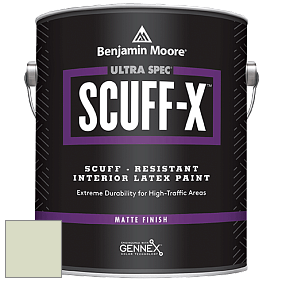 Benjamin Moore 484 Ultra Spec SCUFF-X Interior Matte Finish краска цвет NCS S 1010-G40Y 