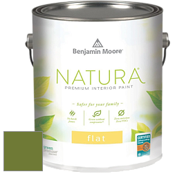 Benjamin Moore 512 Natura Interior Flat Finish матовая краска цвет NCS S 3560-G40Y 