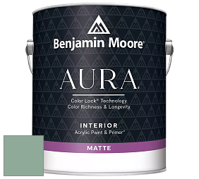 Benjamin Moore Aura 522 Interior Paint - Matte краска цвет 634 Forest Valley Green