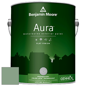 Benjamin Moore Aura 629 Waterborne Exterior Flat Finish краска цвет 628 Winchester Sage