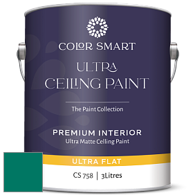 COLOR SMART CS 758 ULTRA CEILING PAINT ультраматовая краска цвет NCS S 4050-B80G 
