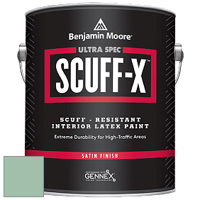 Benjamin Moore 486 Ultra Spec SCUFF-X Interior Satin Finish краска цвет NCS S 2020-G 
