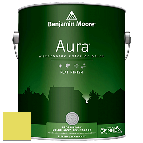 Benjamin Moore Aura 629 Waterborne Exterior Flat Finish краска цвет 2025-40 Limelight