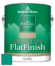 Benjamin Moore W105 Regal Select Exterior Paint-MoorLife Flat Finish краска цвет 658 Neptune Green
