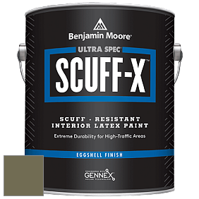 Benjamin Moore 485 Ultra Spec SCUFF-X Interior Eggshell Finish краска цвет NCS S 6020-G70Y 