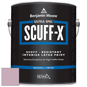 Benjamin Moore 485 Ultra Spec SCUFF-X Interior Eggshell Finish краска цвет NCS S 2020-R30B 