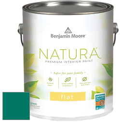 Benjamin Moore 512 Natura Interior Flat Finish матовая краска цвет NCS S 4050-B80G 