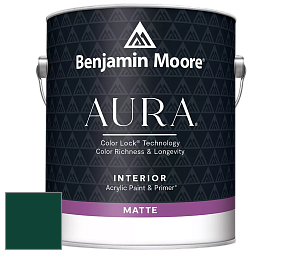 Benjamin Moore Aura 522 Interior Paint - Matte краска цвет RAL 6005 