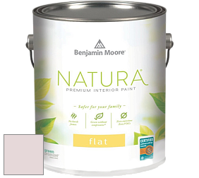 Benjamin Moore 512 Natura Interior Flat Finish матовая краска цвет NCS S 0907-R10B 
