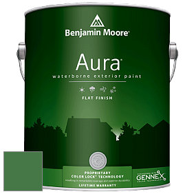 Benjamin Moore Aura 629 Waterborne Exterior Flat Finish краска цвет 2035-20 Cactus Green