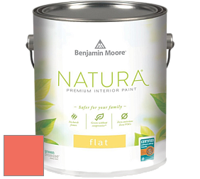 Benjamin Moore 512 Natura Interior Flat Finish матовая краска цвет NCS S 0570-Y80R 