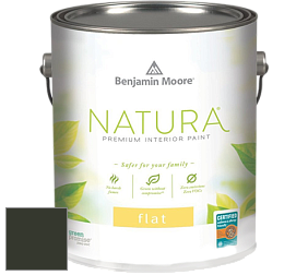 Benjamin Moore 512 Natura Interior Flat Finish матовая краска цвет RAL 6008 