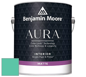 Benjamin Moore Aura 522 Interior Paint - Matte краска цвет 2046-40 Green Sponge