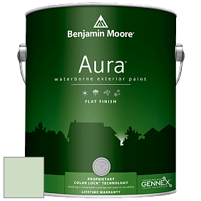 Benjamin Moore Aura 629 Waterborne Exterior Flat Finish краска цвет 561 Pistachio