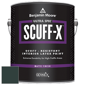 Benjamin Moore 484 Ultra Spec SCUFF-X Interior Matte Finish краска цвет RAL 6012 