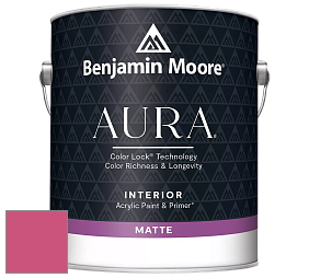 Benjamin Moore Aura 522 Interior Paint - Matte краска цвет NCS S 1070-R20B 