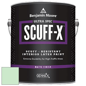 Benjamin Moore 484 Ultra Spec SCUFF-X Interior Matte Finish краска цвет NCS S 0520-G10Y 