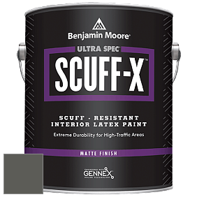 Benjamin Moore 484 Ultra Spec SCUFF-X Interior Matte Finish краска цвет 1484 Ashwood Moss