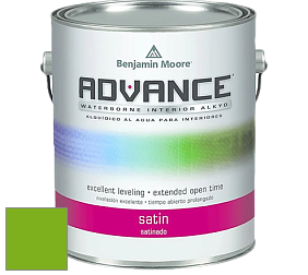 Benjamin Moore 792 Advance Interior Paint-Satin эмаль цвет 2031-20 Paradise Green