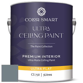 COLOR SMART CS 758 ULTRA CEILING PAINT ультраматовая краска цвет AF-555 
