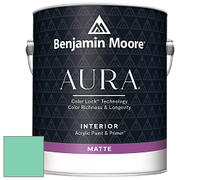 Benjamin Moore Aura 522 Interior Paint - Matte краска цвет NCS S 1040-B90G 