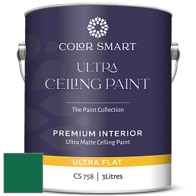 COLOR SMART CS 758 ULTRA CEILING PAINT ультраматовая краска цвет NCS S 4550-G 