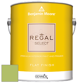 Benjamin Moore 547 Regal Select Waterborne Interior Flat Finish краска цвет 412 Springhill Green