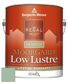 Benjamin Moore W103 Regal Select Exterior Paint-MoorGard Low Lustre Finish краска цвет 627 Spring Break