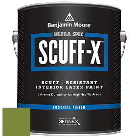 Benjamin Moore 485 Ultra Spec SCUFF-X Interior Eggshell Finish краска цвет NCS S 3060-G40Y 