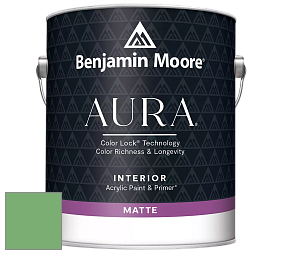 Benjamin Moore Aura 522 Interior Paint - Matte краска цвет 573 Four Leaf Clover