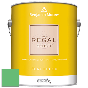 Benjamin Moore 547 Regal Select Waterborne Interior Flat Finish краска цвет NCS S 1060-G10Y 