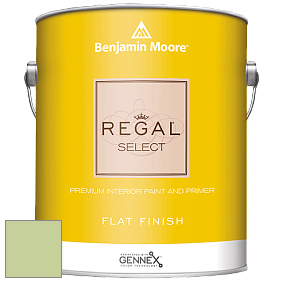 Benjamin Moore 547 Regal Select Waterborne Interior Flat Finish краска цвет NCS S 1030-G40Y 