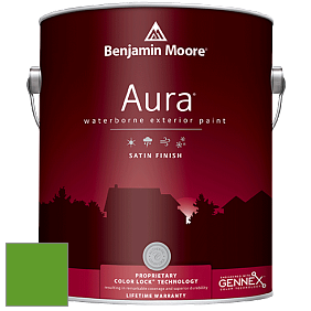 Benjamin Moore Aura 631 Waterborne Exterior Satin Finish краска цвет 2030-10 Lizard Green