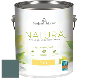 Benjamin Moore 512 Natura Interior Flat Finish матовая краска цвет 713 Polished Slate