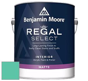 Benjamin Moore 548 IRegal Select Interior Paint - Matte краска цвет 2046-40 Green Sponge