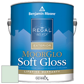 Benjamin Moore W096 Regal Select Exterior Paint-Moor GloSoft Gloss Finish краска цвет 850 Reflection