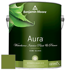 Benjamin Moore Aura 528 Waterborne Interior Semi-gloss Finish краска цвет NCS S 3065-G40Y 