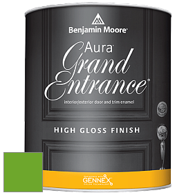Benjamin Moore Aura 148 Grand Entrance High Gloss эмаль цвет 2030-20 Tropical Seaweed Green